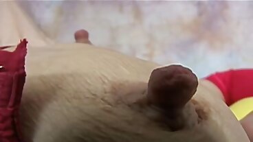 Porr Och porrfilm Hamster