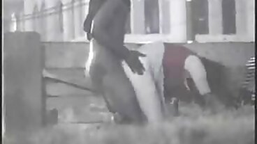 Elektra Lamour Dark Hair Mature svensk amatör porr gratis