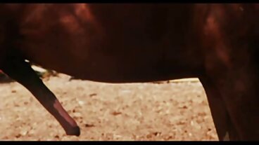 Poen tecknad porrfilm Hab