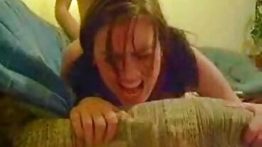 Porr Xxx Filmer bög porr Videor
